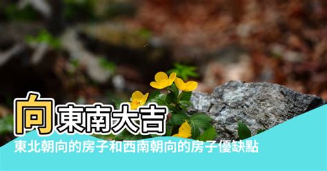 東北向房子|房子面東北好嗎？風水、地理與實用考量一次看！｜魔幻水